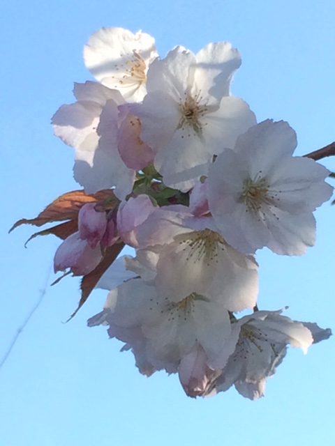 To hold the meaning of life in your hand