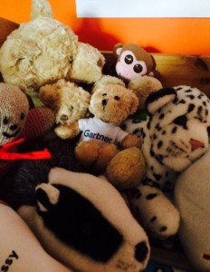 Back where he belongs