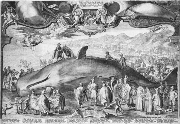 old whale_engraving.jpg