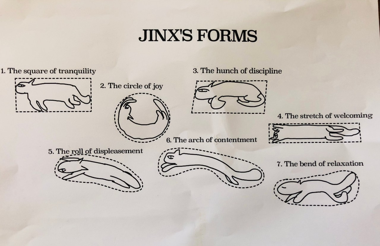 jinx's forms